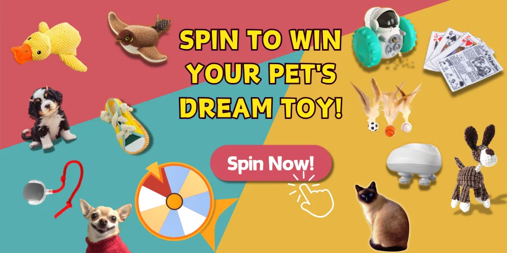 pet toy raffle
