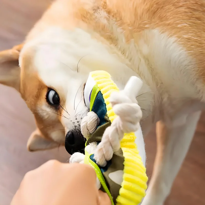 Jouet pour chien Indestructible Squeaky Shoe
