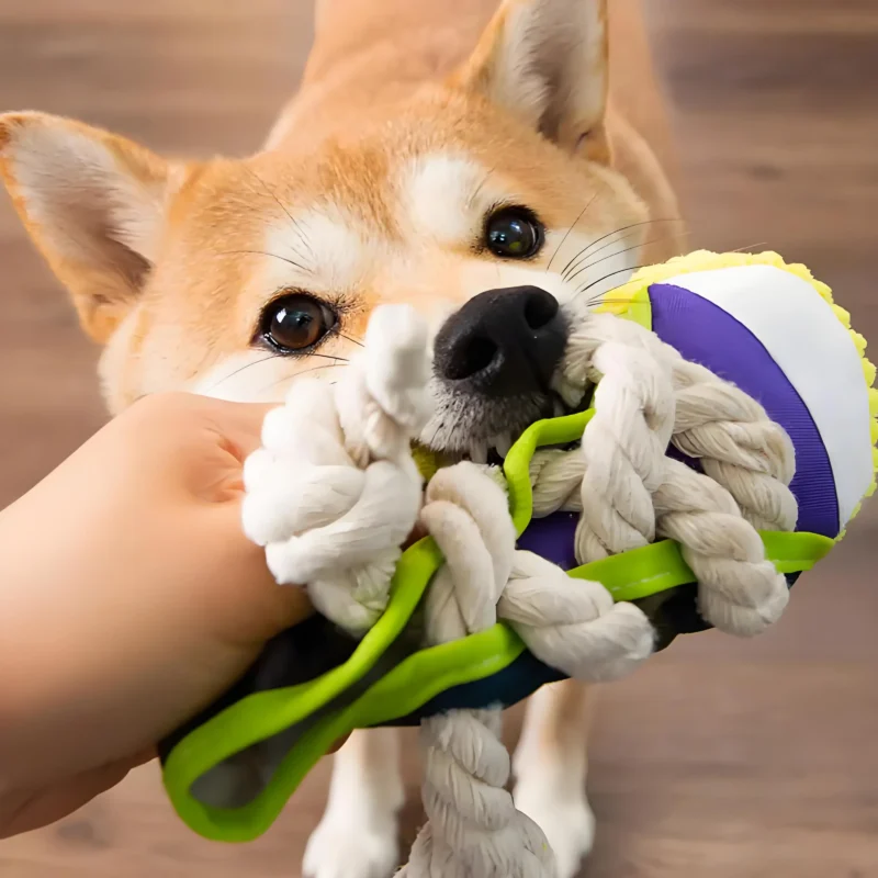 Jouet pour chien Indestructible Squeaky Shoe