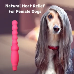 Jouet sexuel pour chien - Vibrateur à 5 vitesses pour soulager la chaleur et réduire le stress