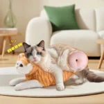 😻Poupée sexuelle féminine réaliste pour chats mâles