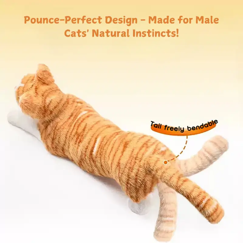😻Poupée sexuelle féminine réaliste pour chats mâles