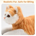 😻Poupée sexuelle féminine réaliste pour chats mâles