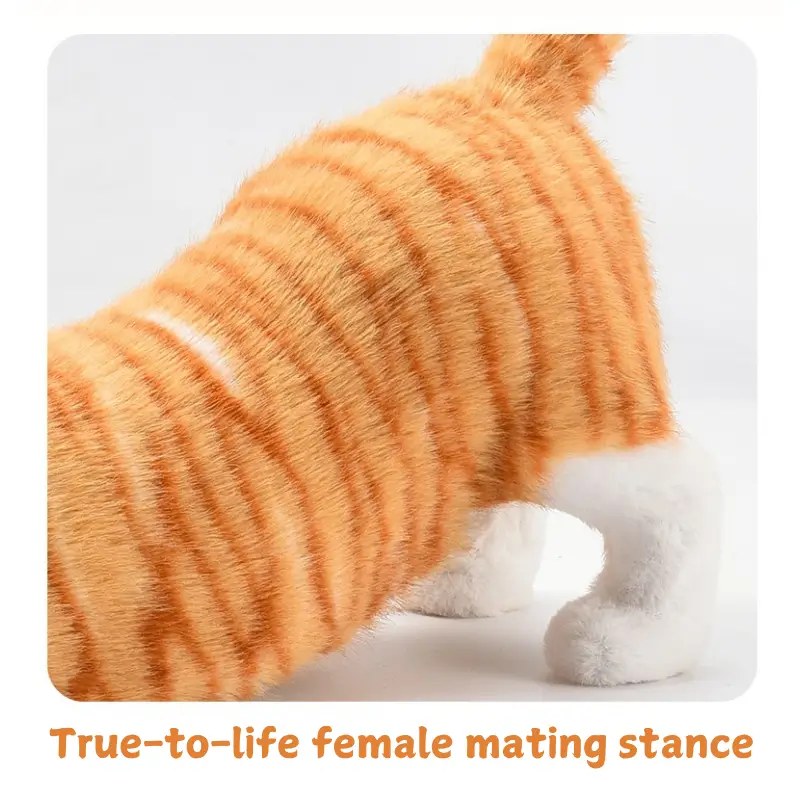😻Poupée sexuelle féminine réaliste pour chats mâles