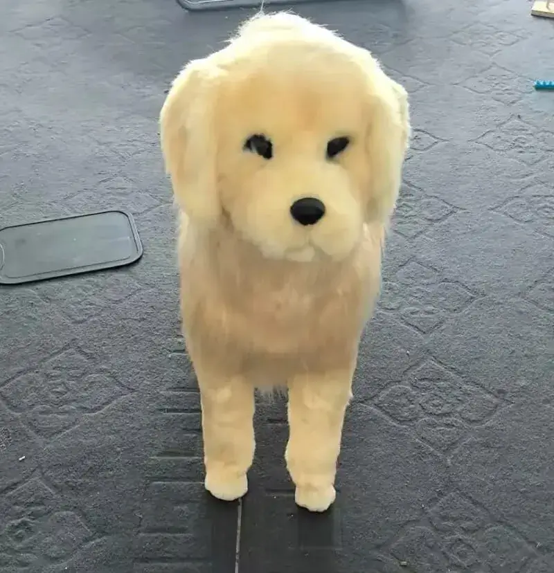 🐕 Sex Toys for Dogs – Large Dog Mating Toy with Realistic Female Design | Safe & Reusable Heat Cycle Solution photo review