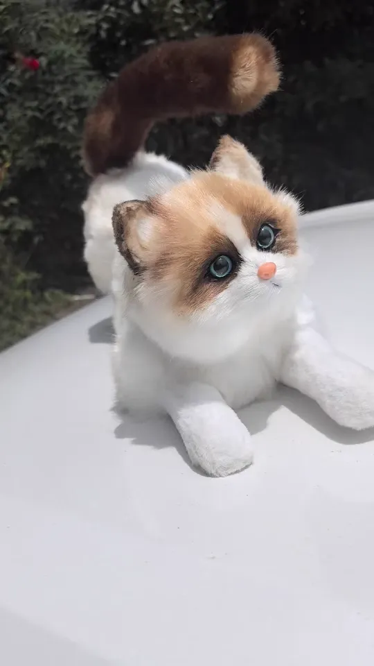 😻 Realistic Female Cat Sex Doll for Male Cats photo review