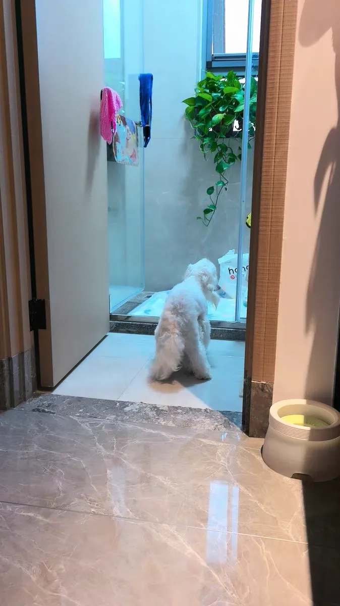 🐶 Realistisch Hondenseksspeeltje voor Reuen - Veilige Opluchting bij Paring Fotobeoordeling
