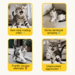 😻 Realistische Katzen-Sexpuppe für Kater - sichere & effektive Alternative zur Kastration