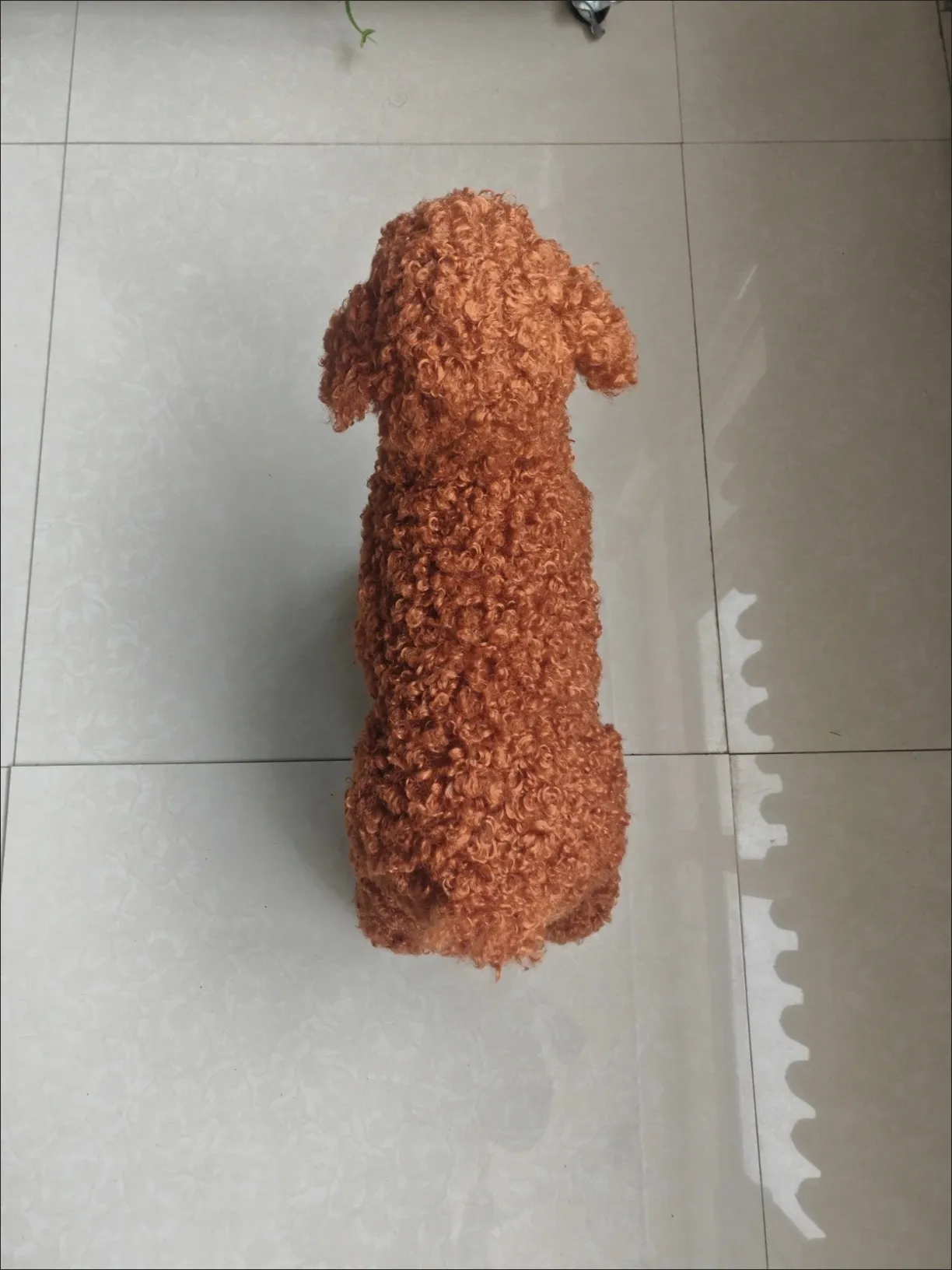 🐶 Realistic Dog Sex Toy for Male Dogs - Safe Mating Relief photo review