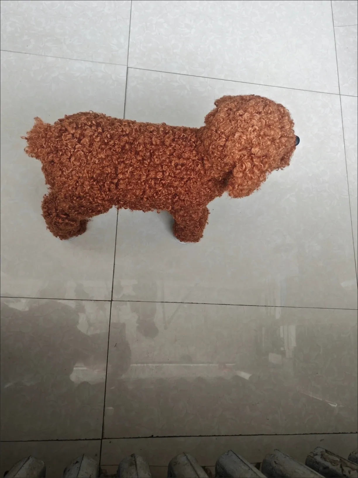 🐶 Realistic Dog Sex Toy for Male Dogs - Safe Mating Relief photo review