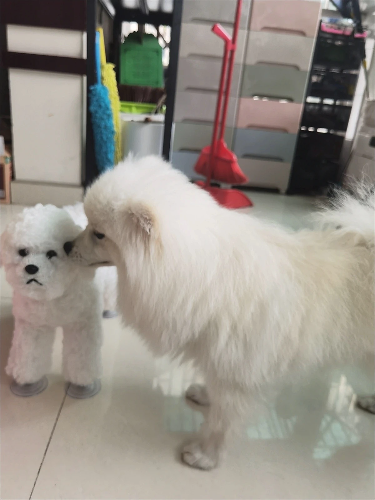 リアルな雄犬用セックスグッズ 🐶 - 安全な交尾の救済 写真のレビュー