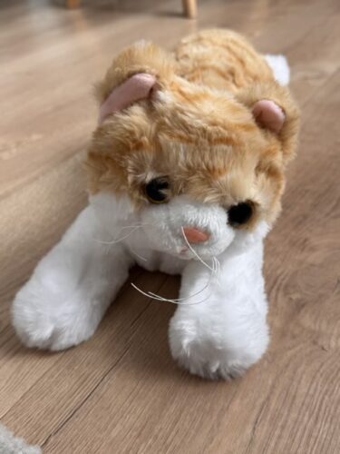 Klik om volledig scherm te bekijken Kat Seksspeeltje - Realistische Estrus Verlichting voor Katten 😻 fotoreview